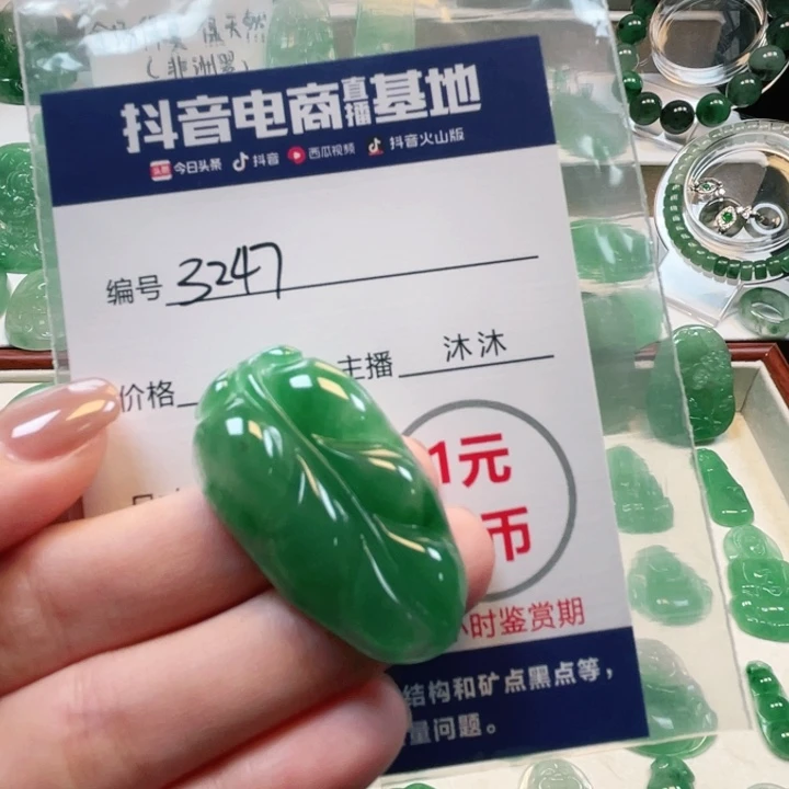 石英质玉未镶嵌颈饰