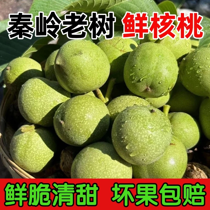 正宗陕西秦岭老树新鲜带莲子青皮鲜核桃当季孕妇宝宝零食产地直发
