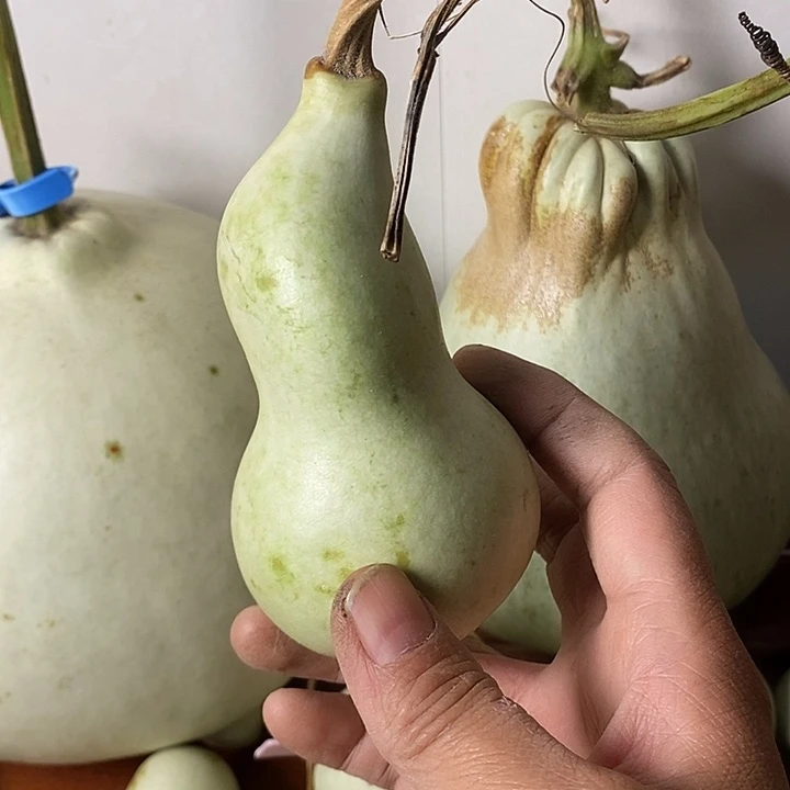 林***鹿青皮葫芦手把件摆件