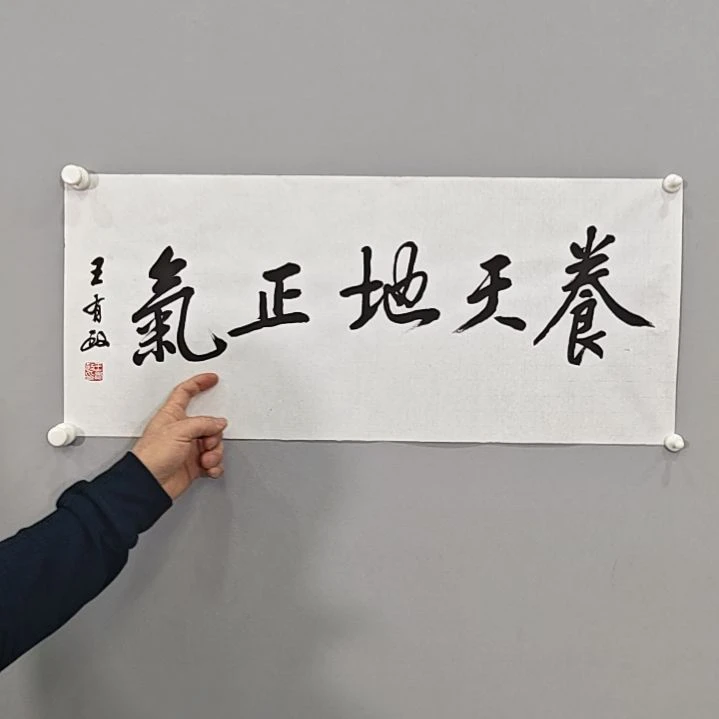 书法养天地正气 书法作品