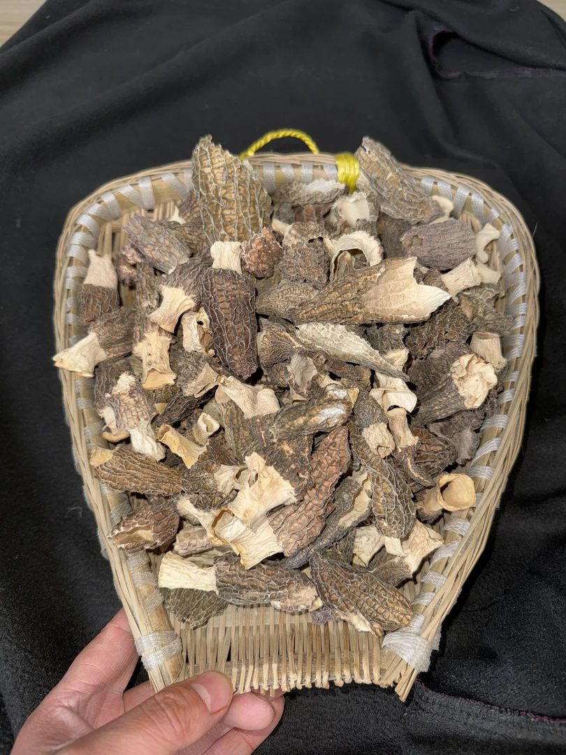 3【干羊肚菌 破碎 】头茬羊肚菌 肉质肥美 炖汤营养