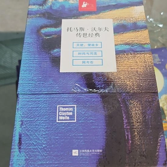 托马斯沃尔夫传世经典一套，精装塑封