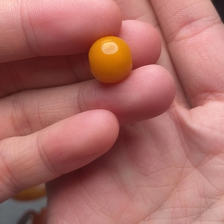 琥珀未镶嵌裸石西亚鼓珠12.5-11.5mm