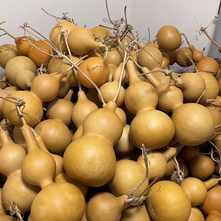 文玩葫芦定向山沟1