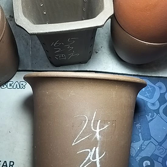 特大金钟一个花盆