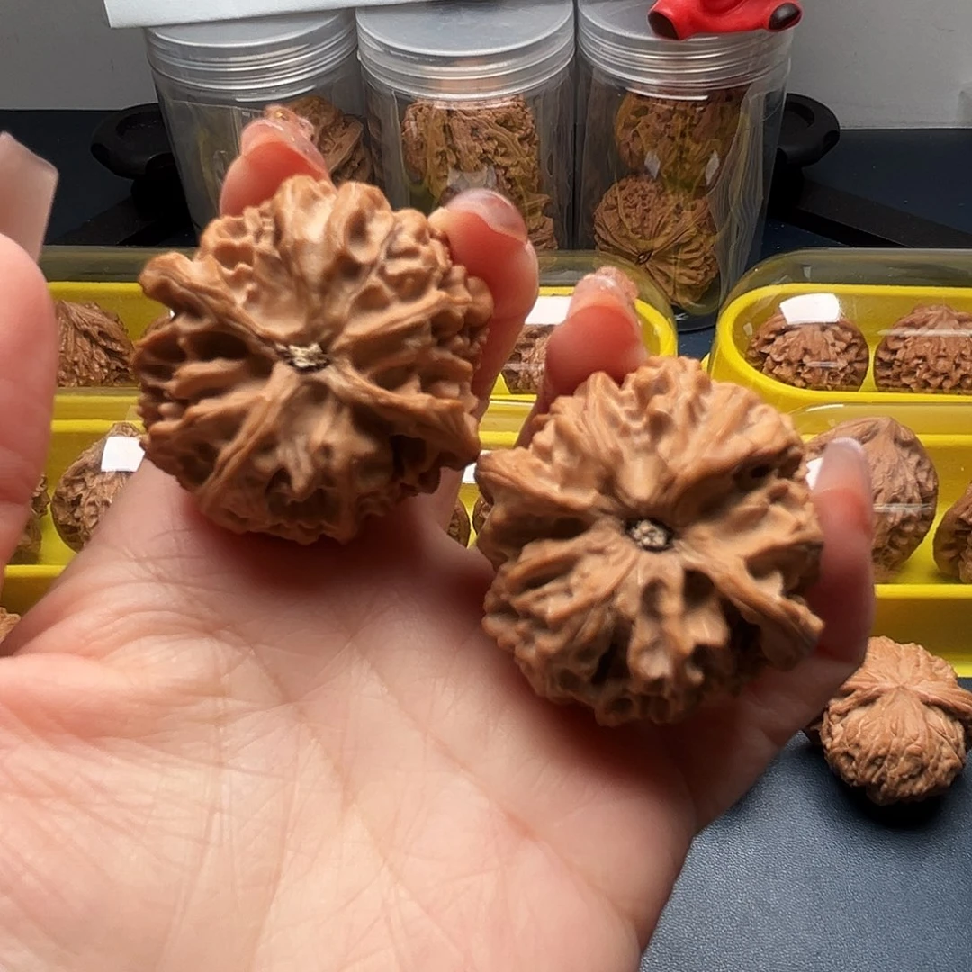 核桃40尺寸苹果园