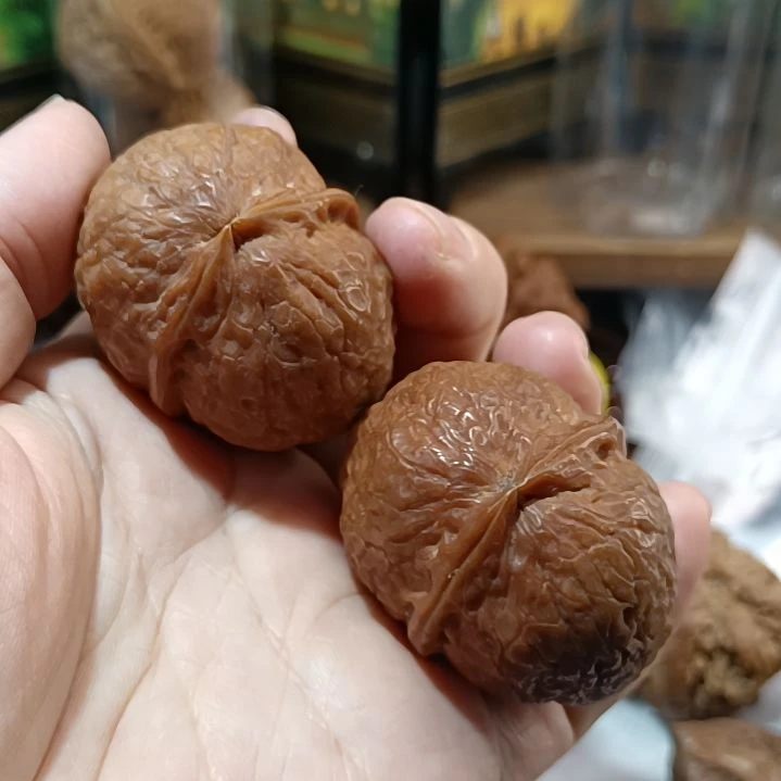 把件文玩核桃6666666666666666
