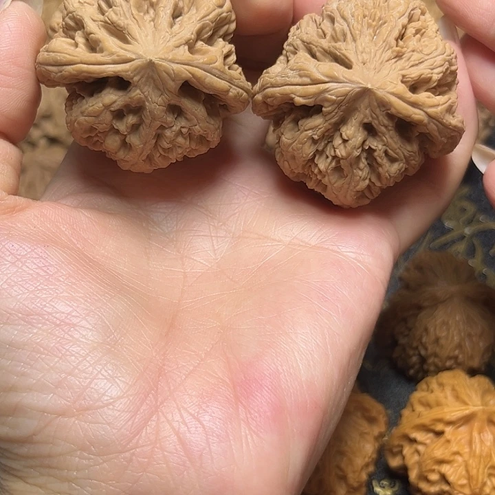 文玩核桃吊坠43龟背全品粗筋