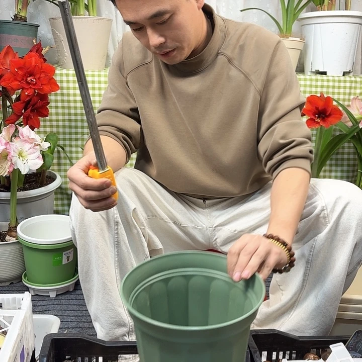 口径23.5带托盘5个装绿色