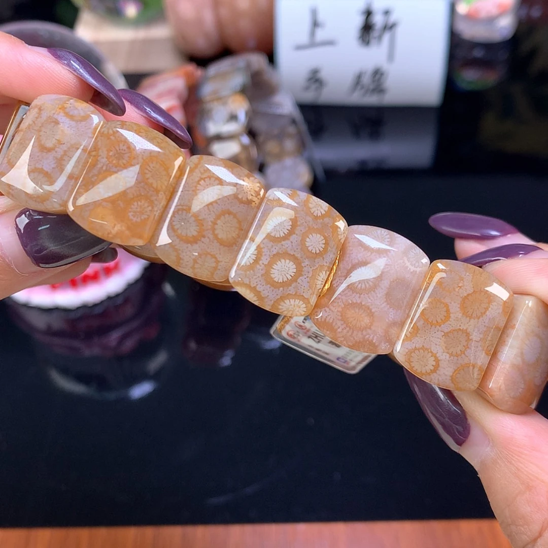 【闪购商品】颈饰未镶嵌硅化珊瑚（珊瑚玉）福利手牌400漏300（31号）
