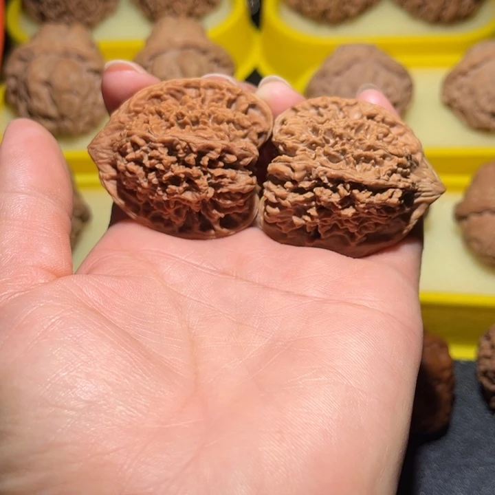 涞水山地果满天星全品