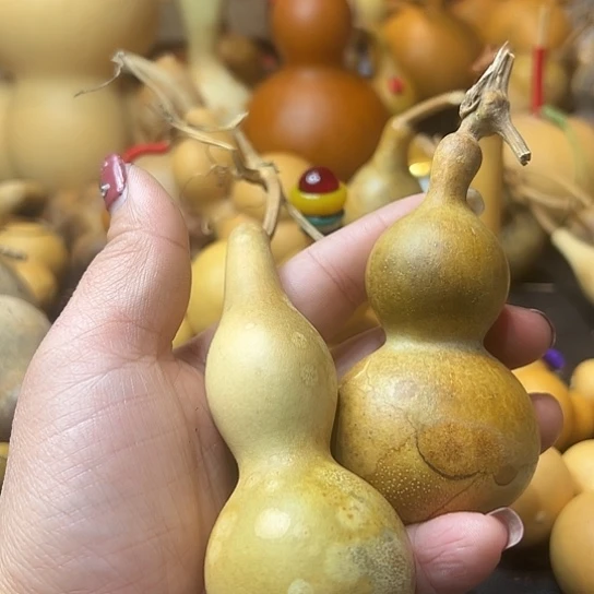 言**皮葫芦葫芦葫芦葫芦