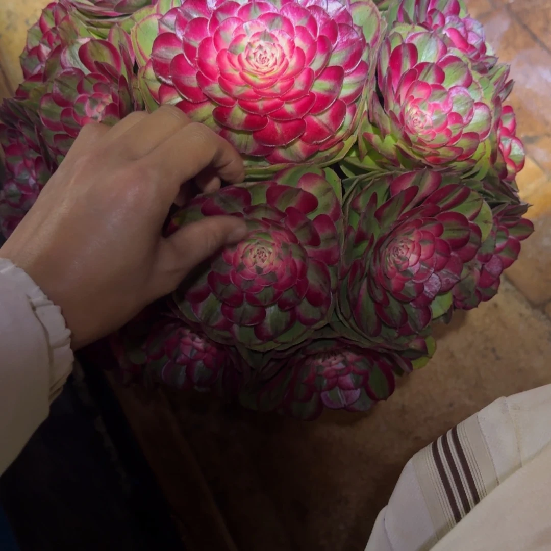 邹***白无花朵xnxnddndndndndn