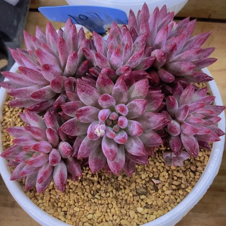 是吗这不还没有下班我