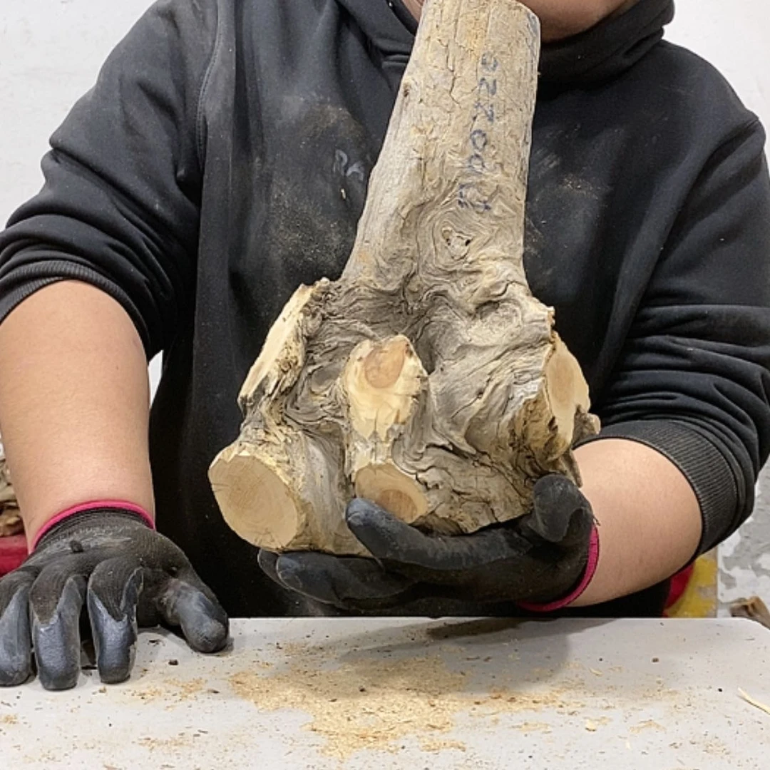 【闪购商品】柏木老****！我们都是好孩子