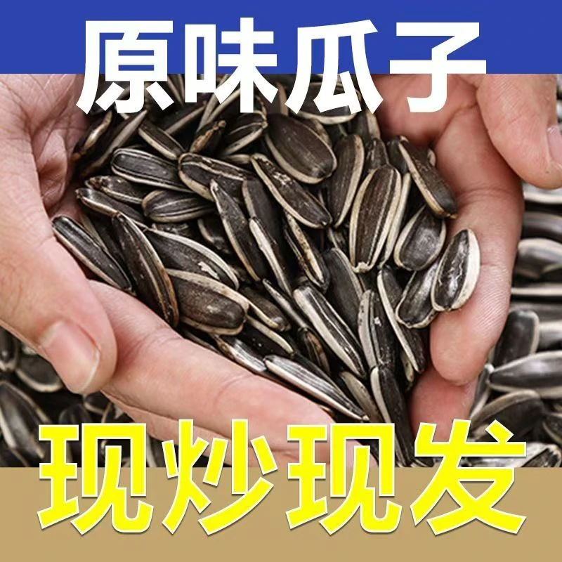【买一斤送一斤到手两斤】原味葵花籽解馋好磕新货盐炒瓜子小吃零食