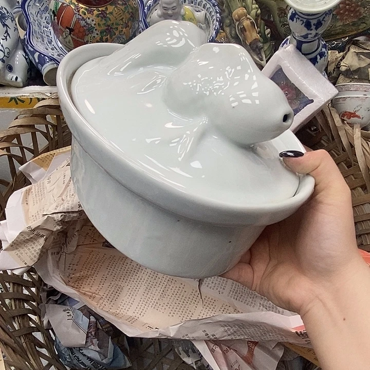 鱼罐00000000000000000