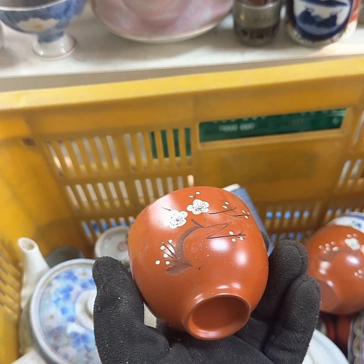 碗开播啦….开播啦