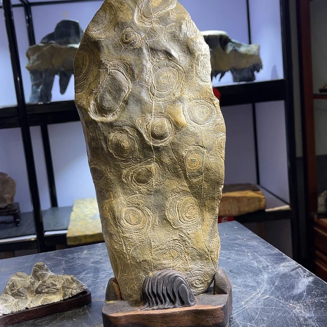 紫砂我们在学校工作时间里没有李***馆