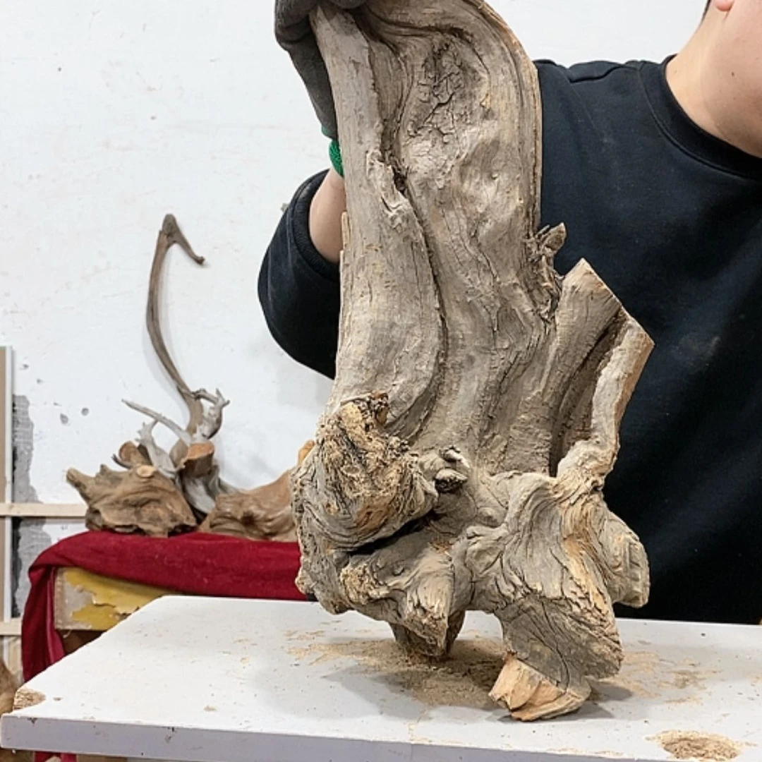 【闪购商品】柏木张*忠我们都是好孩子