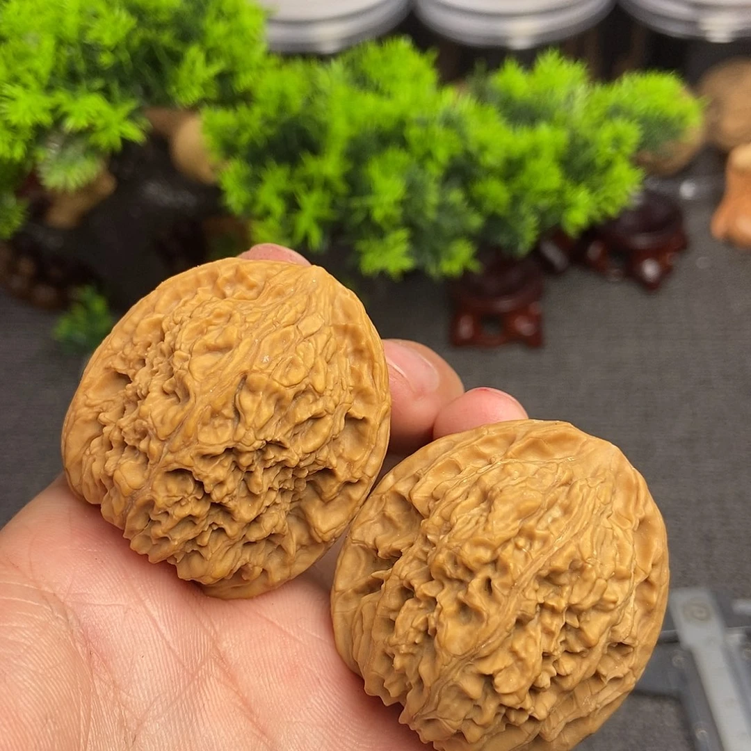 核桃南疆石40尺寸编号035