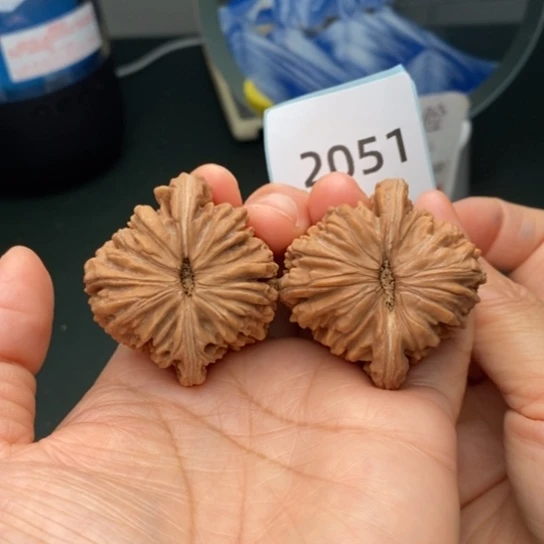 文玩核桃把件43.5凹底楼2051