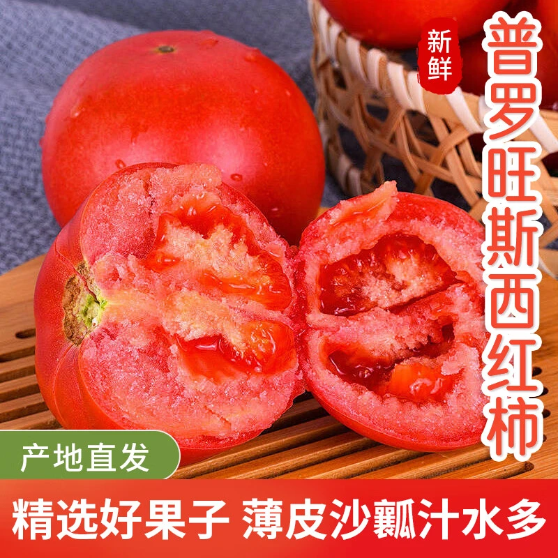 【产地直发】山东普罗旺斯西红柿沙瓤番茄现摘现发