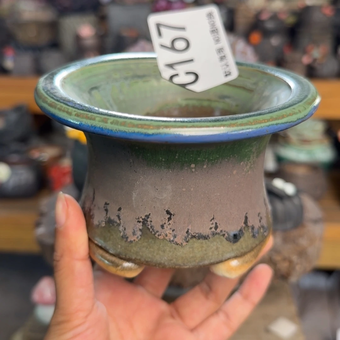 重庆小燕子欢迎大家167