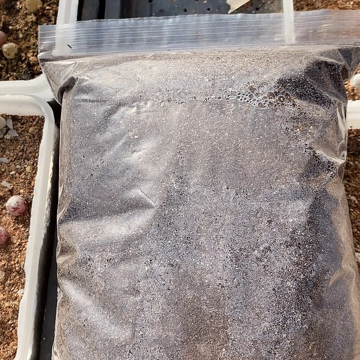 2541肉锥专用土1份。