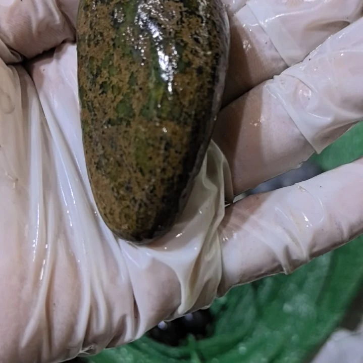 鑫***业有机玻璃藏玉药王石原石手把件