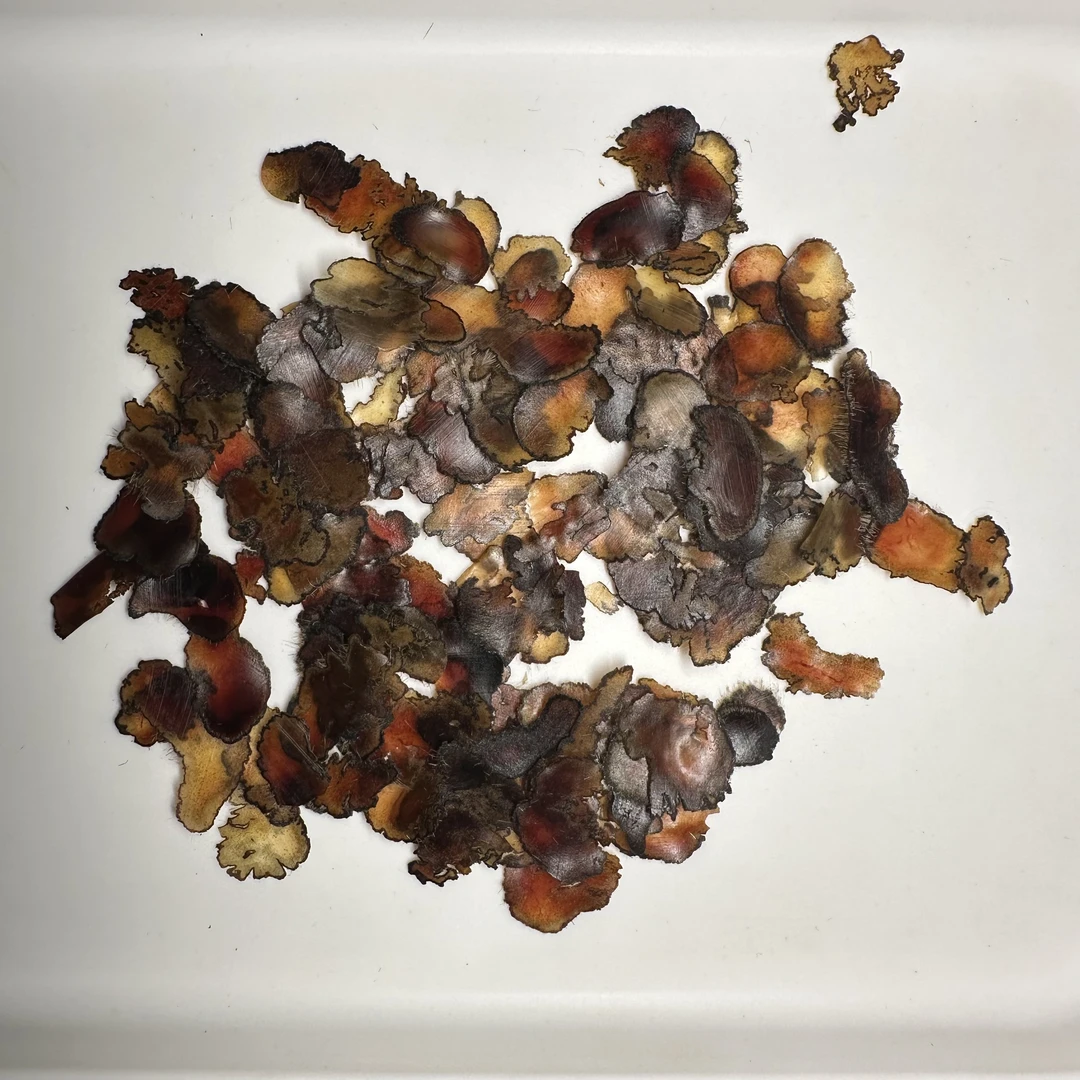 梅花鹿之乡全蜡腊残片煲汤泡酒泡水炖菜吉林鹿茸片正宗