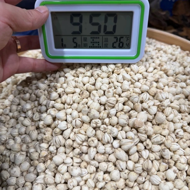 四川阿坝州川贝母