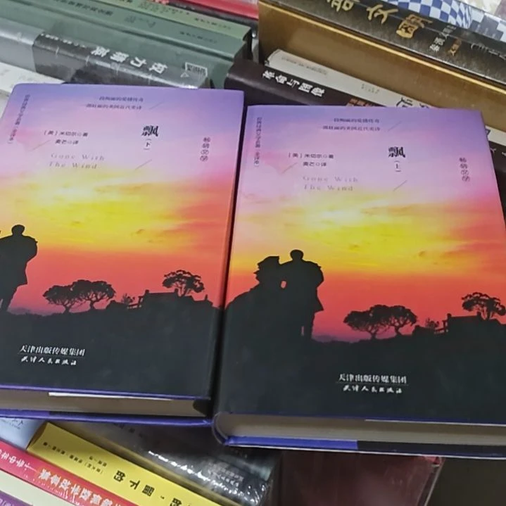 飘上下册两本，一套精装塑封全新。