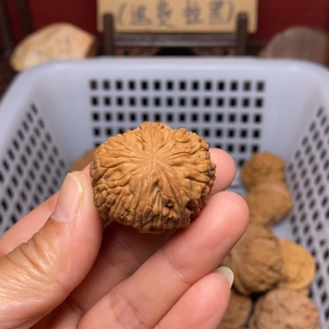 善***慧文玩核桃把件核桃