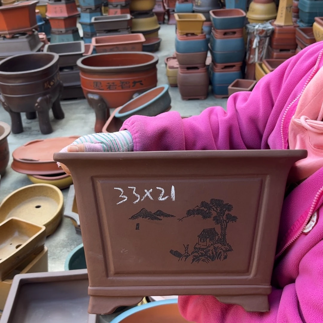 花盆紫砂盆景艺术