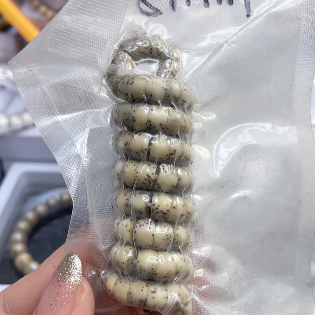 手串星月菩提石玉料大肠尺寸8