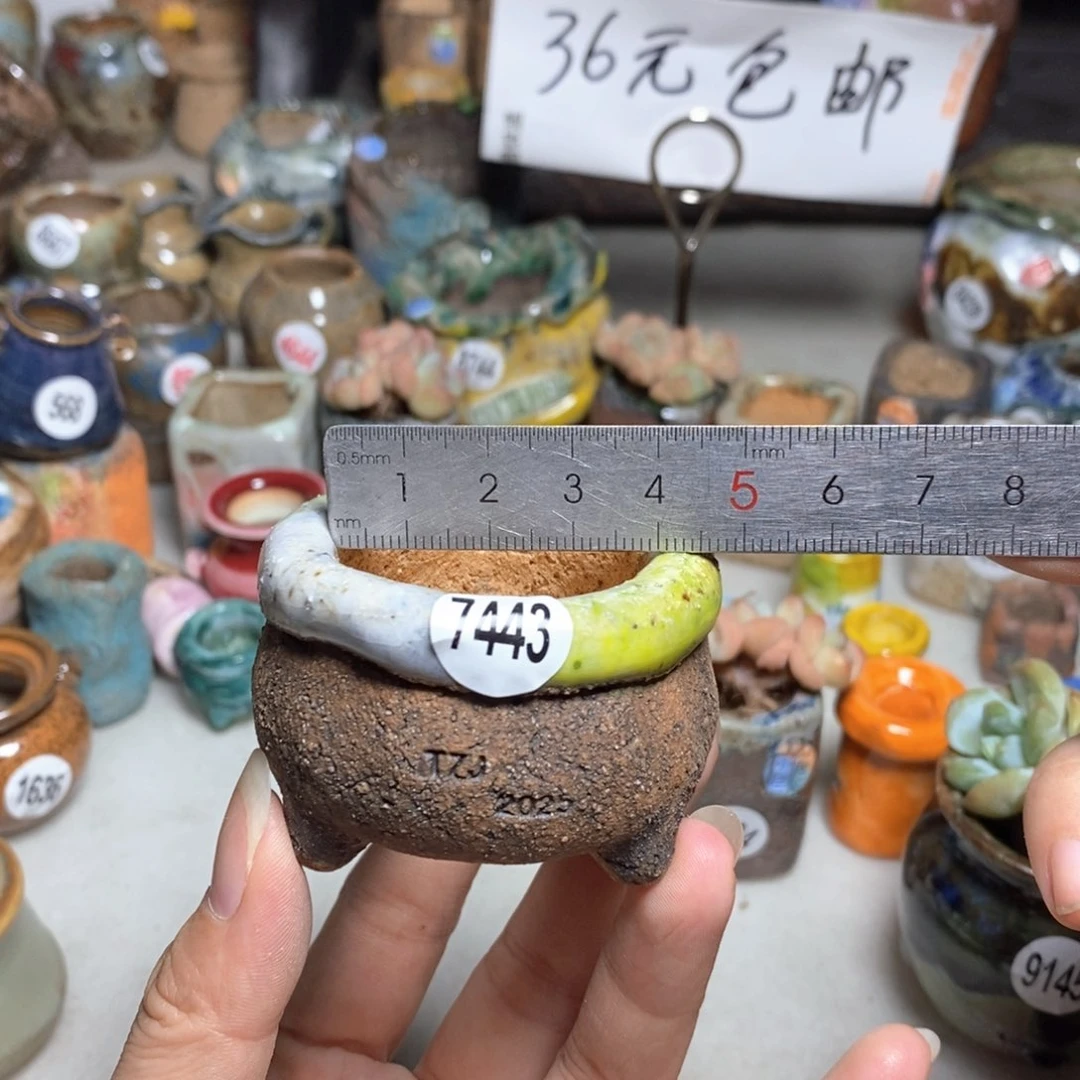 拍3送一个小礼物