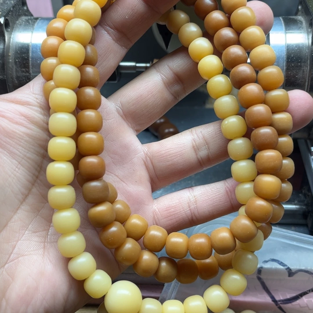 手串菩提根/象牙果