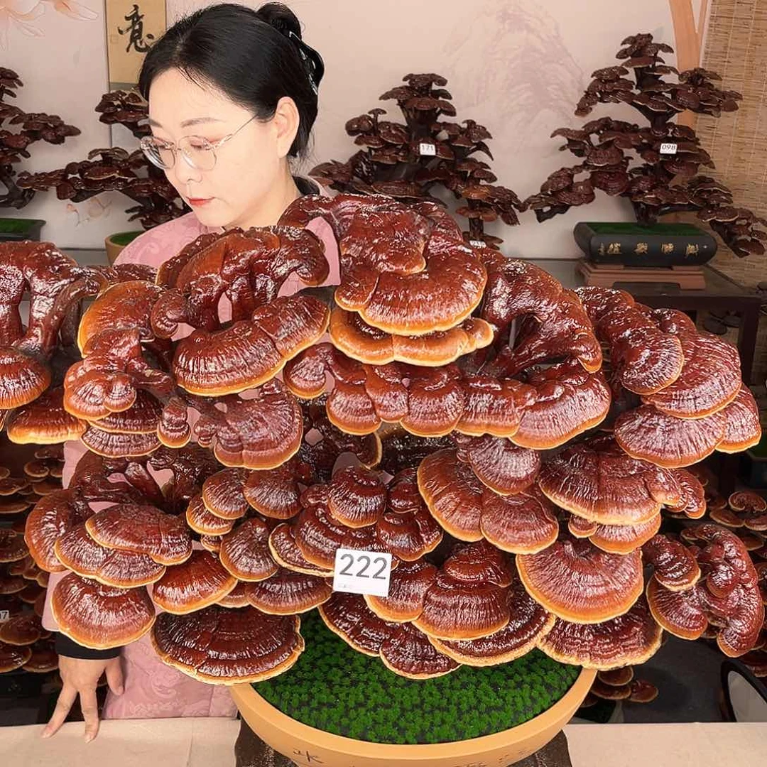 万事如意888888222