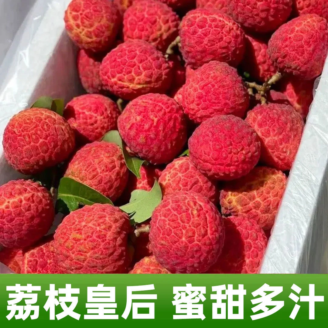 【邮政专属空运】仙进奉荔枝当季水果新鲜荔枝现摘现发鲜甜荔枝