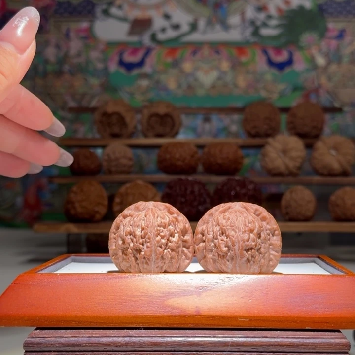 39全品白狮子球白