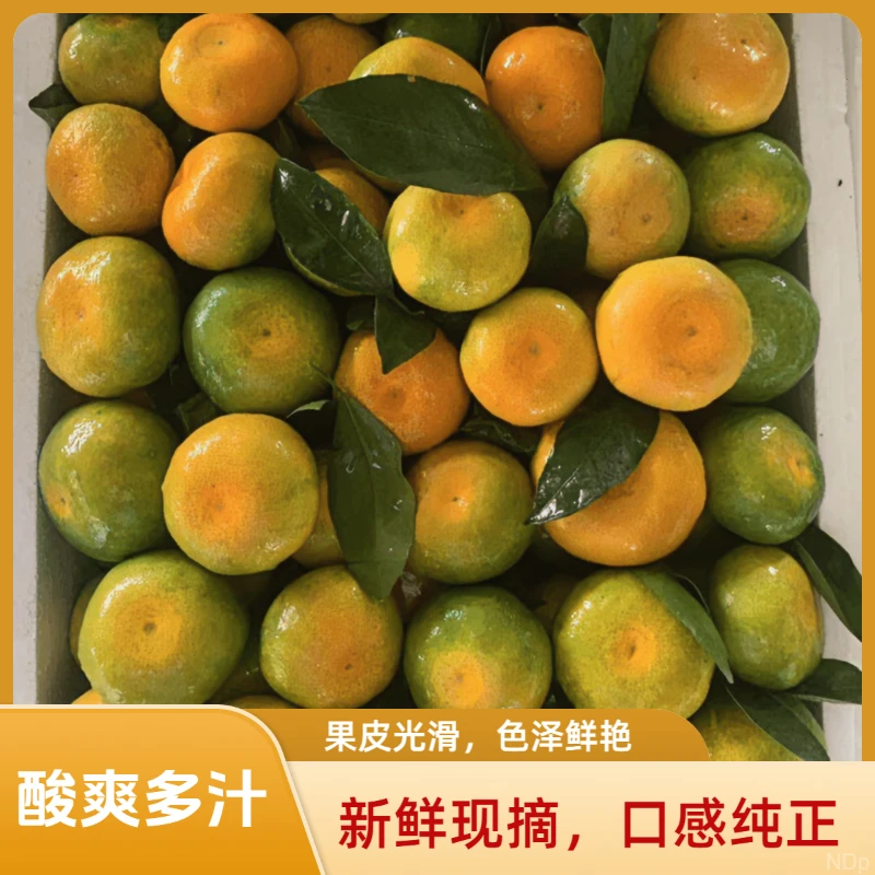 【超便宜】青皮橘子新鲜蜜橘孕妇水果蜜桔子3斤5斤酸甜爽口皮薄多汁