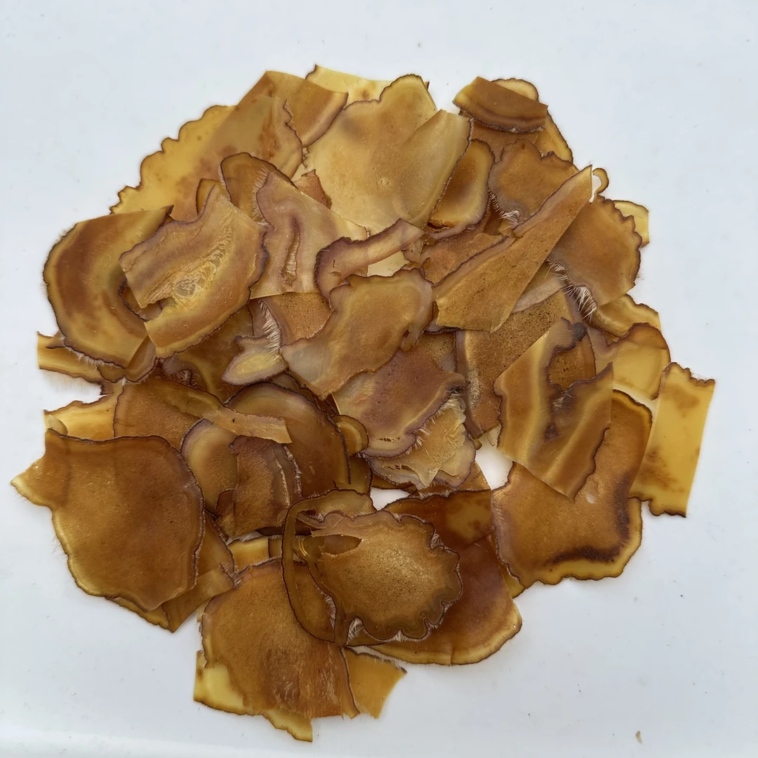 鹿茸足干全蜡片腊残片东北鹿茸煲汤煮粥泡酒泡水高性价比鹿茸片碎