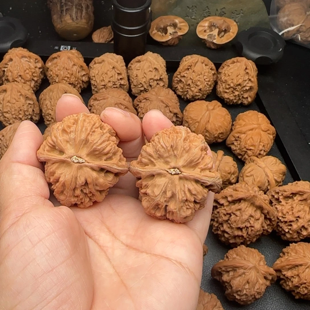 43尺尖微黄大粗筋