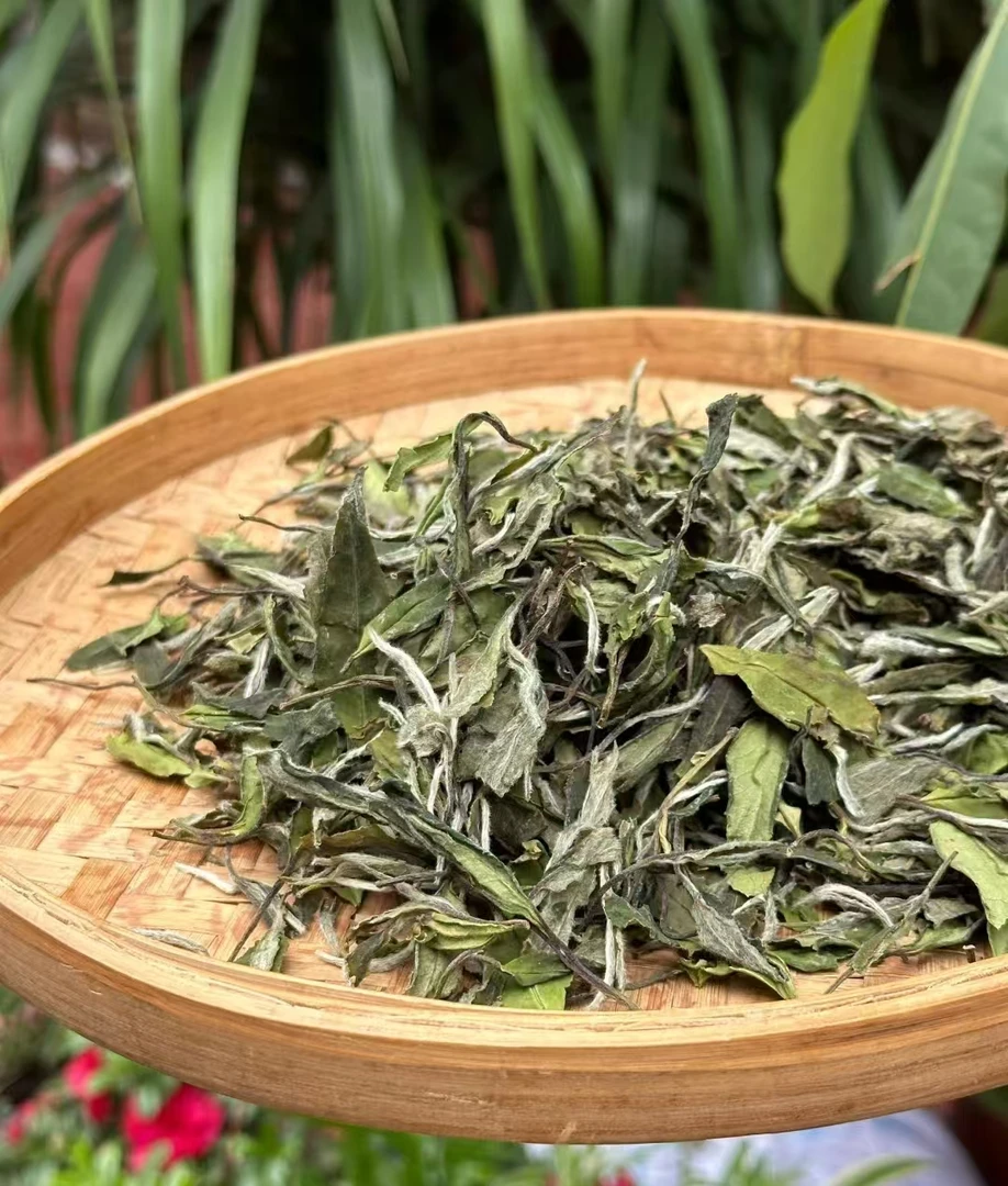 福鼎白茶高山磻溪白牡丹茶花香四溢冰糖甜十分好喝2025年白牡丹