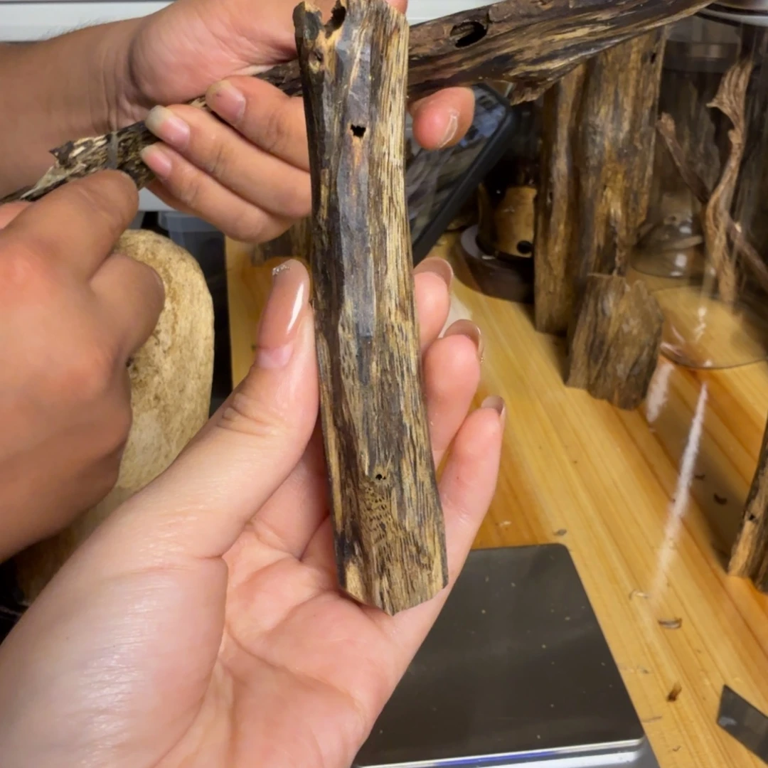 沉香绿奇虫漏香10克