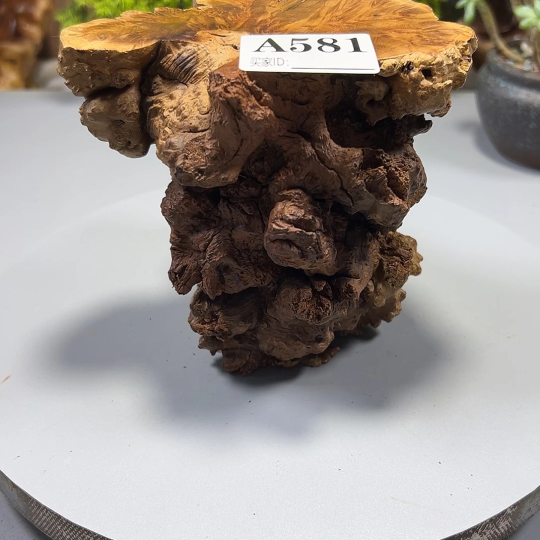 大果紫檀（缅甸花梨）核****工