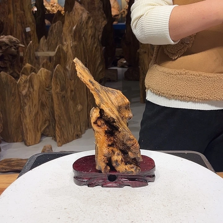 松木（琥珀木）钛**码