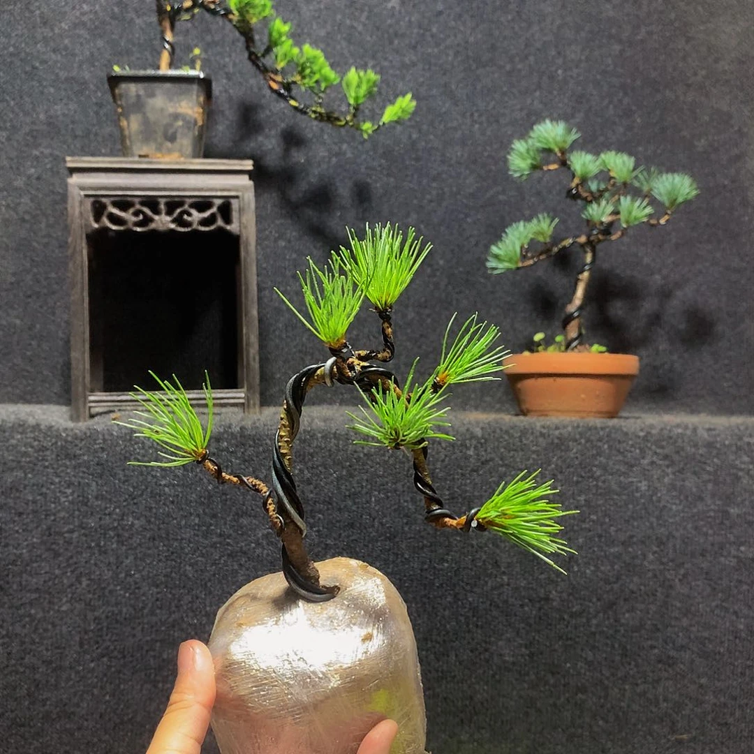 墨***堂完全开放11111111111