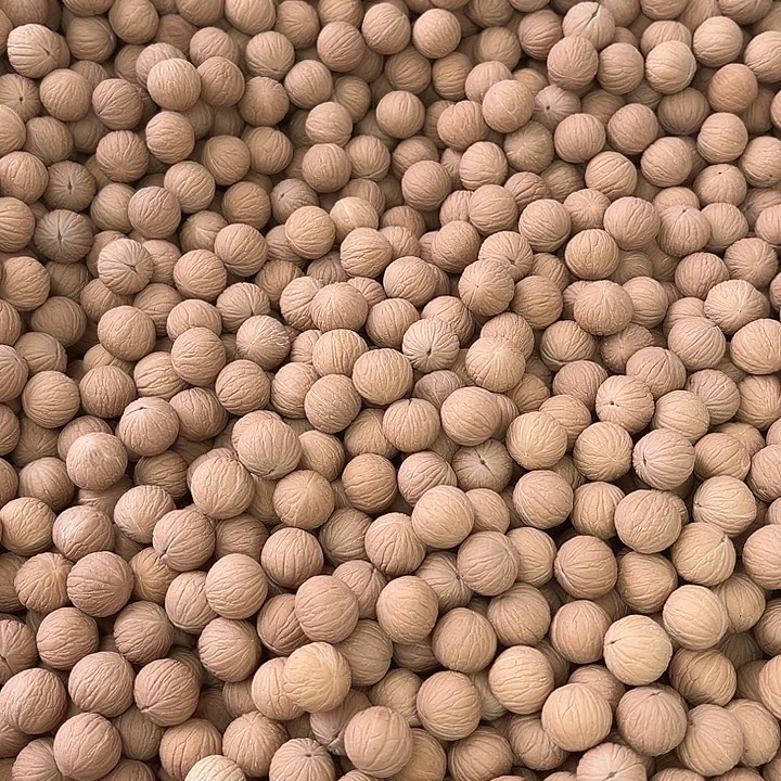 手串猴头核桃凤羽山地籽100颗
